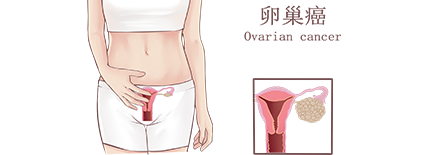 方案图片